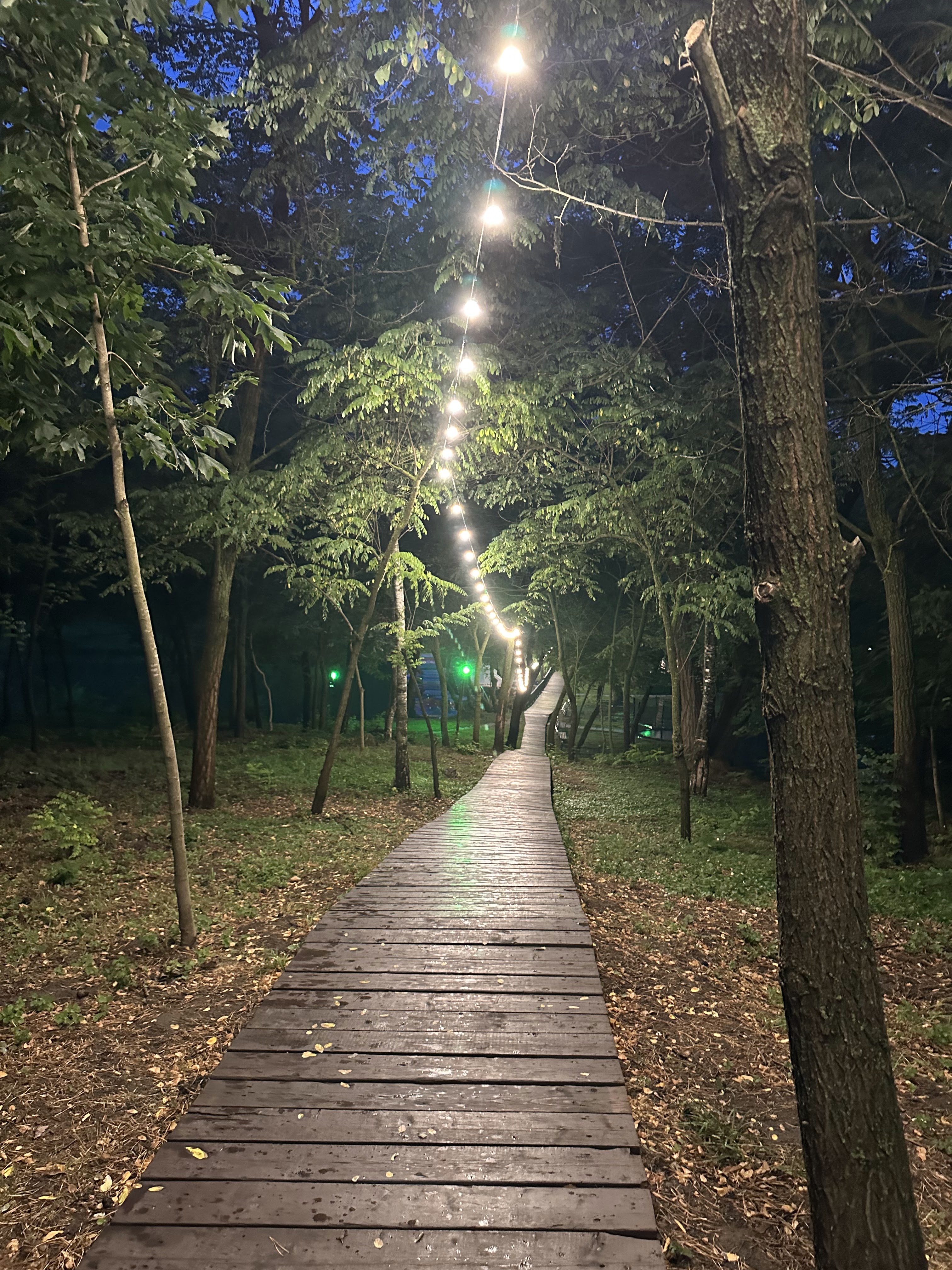 Alee iluminată noaptea — Rose Valley Park (Parcul Valea Trandafirilor), Chișinău, Republic of Moldova
