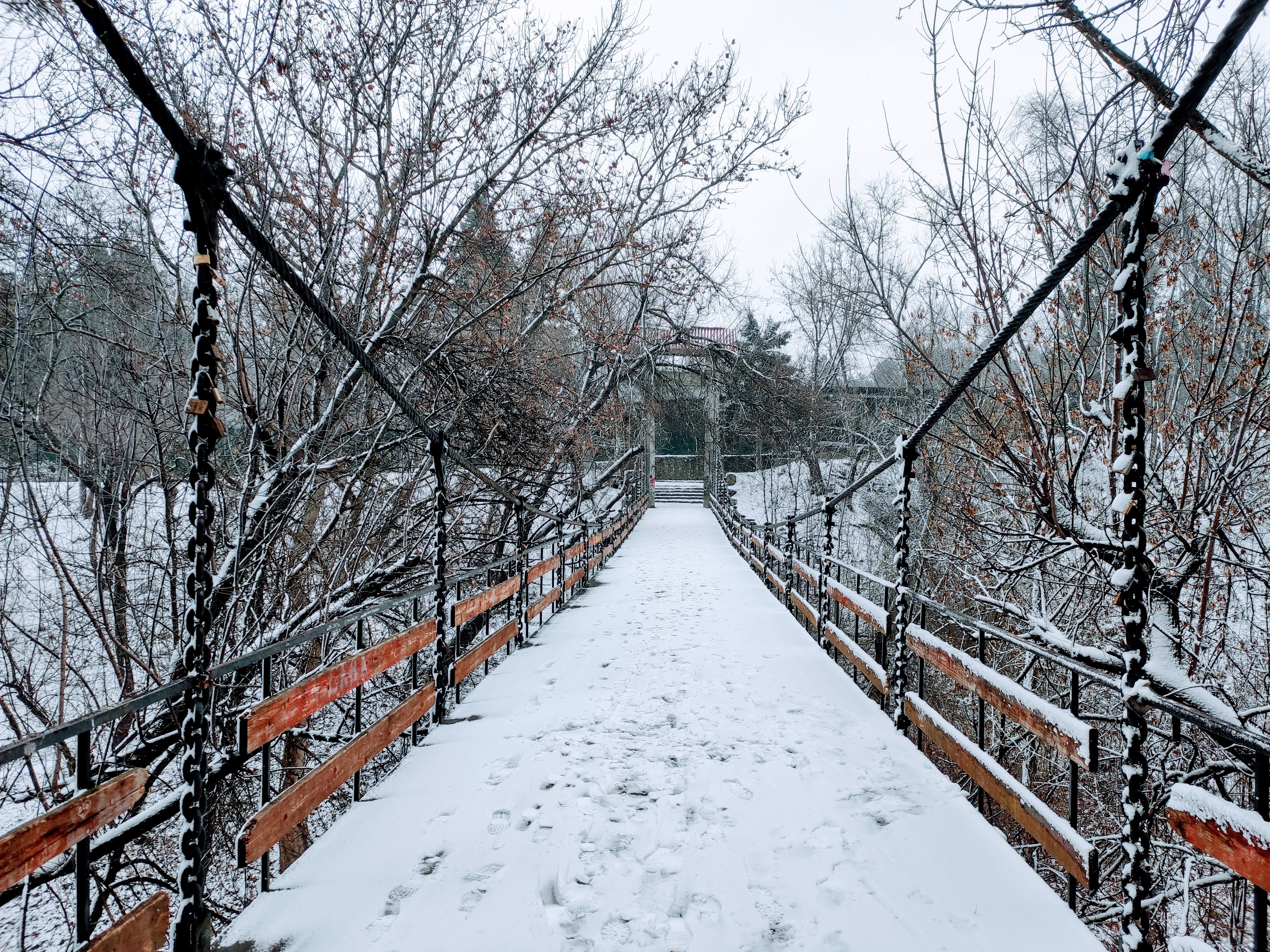 Pod acoperit de zăpadă — Rose Valley Park (Parcul Valea Trandafirilor), Chișinău, Republic of Moldova
