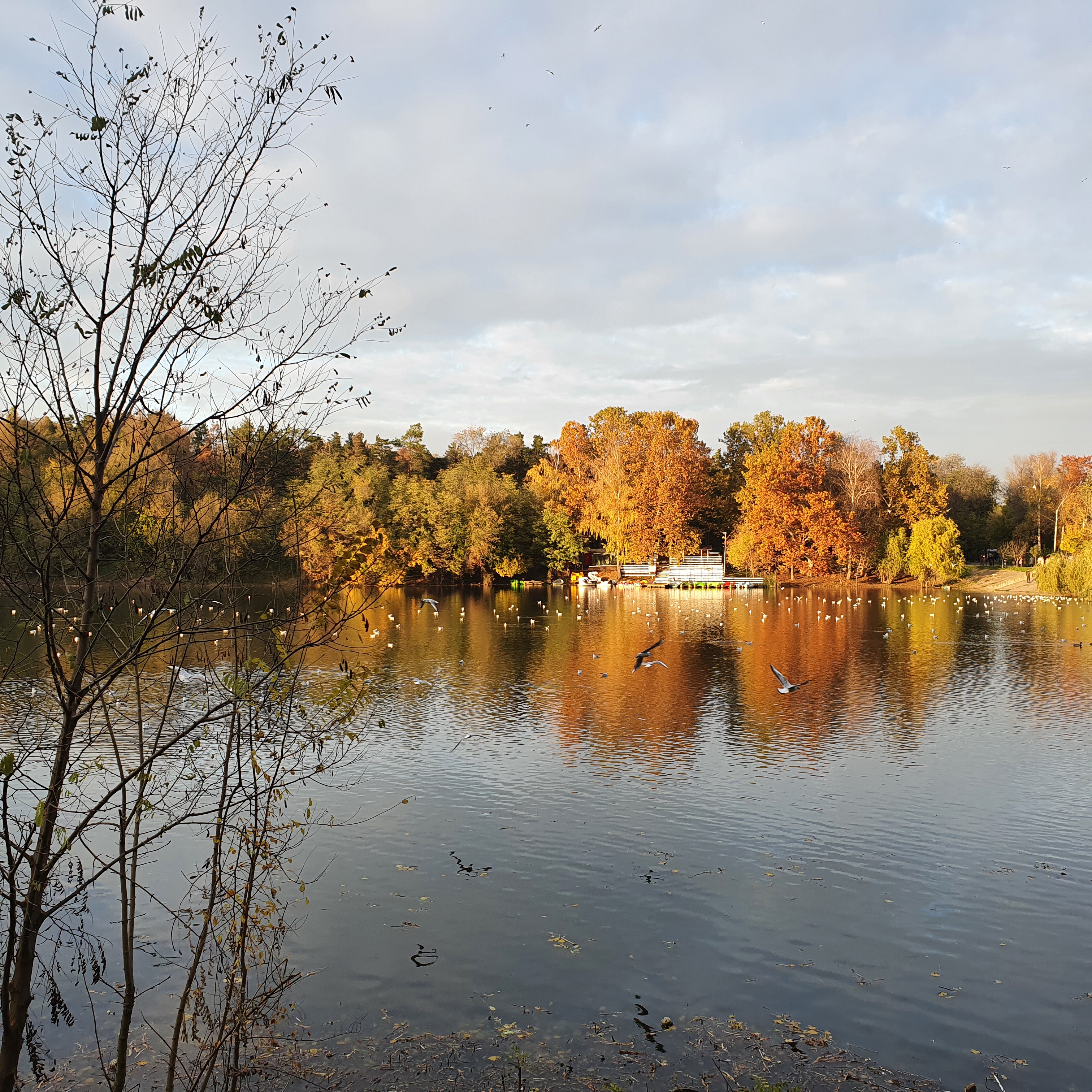 Lacul de toamnă — lângă Parcul „Valea Trandafirilor” (Rose Valley Park), Chișinău